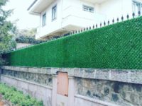 FB_IMG_1499138774467