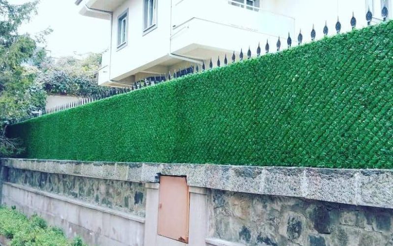 FB_IMG_1499138774467