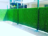 FB_IMG_1499138844143