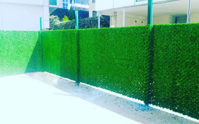 FB_IMG_1499138844143