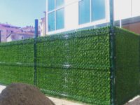 FB_IMG_1499138849605