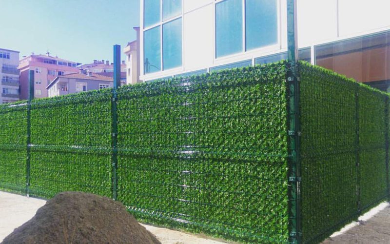 FB_IMG_1499138849605