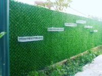 FB_IMG_1499138862684