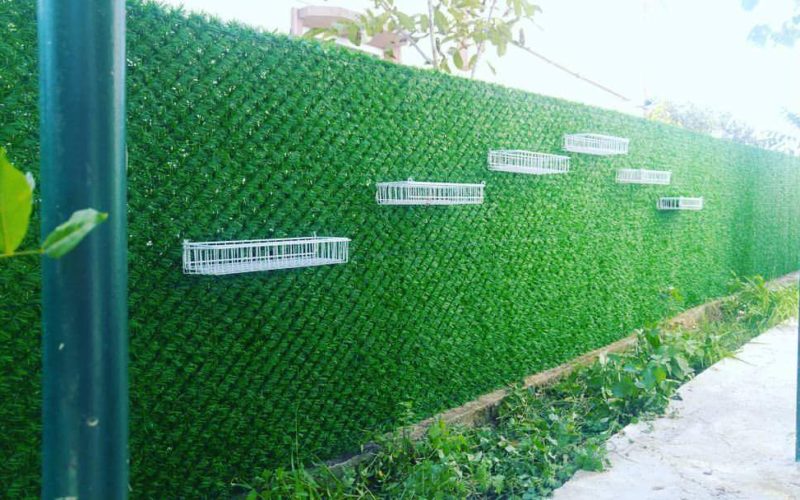 FB_IMG_1499138862684