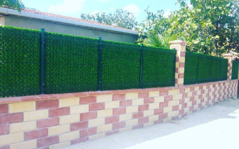 FB_IMG_1499138893271