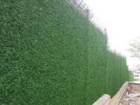 FB_IMG_1499139013771