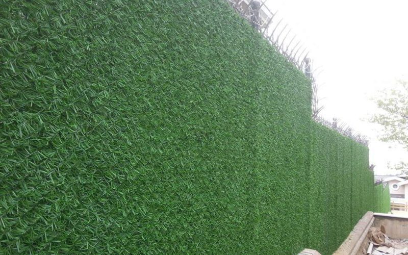 FB_IMG_1499139013771