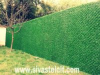 FB_IMG_1499139211105