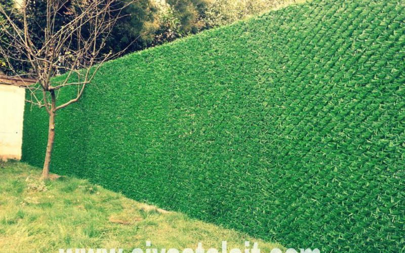 FB_IMG_1499139211105