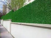 FB_IMG_1499139224022