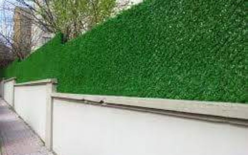 FB_IMG_1499139224022