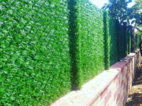 FB_IMG_1499143235735