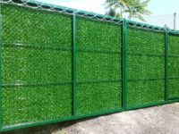 FB_IMG_1499143378583