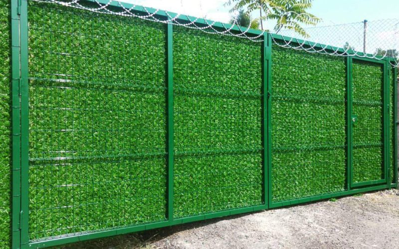 FB_IMG_1499143378583