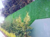 FB_IMG_1499143414036