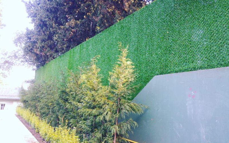 FB_IMG_1499143414036