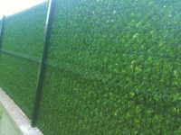 FB_IMG_1499143422558