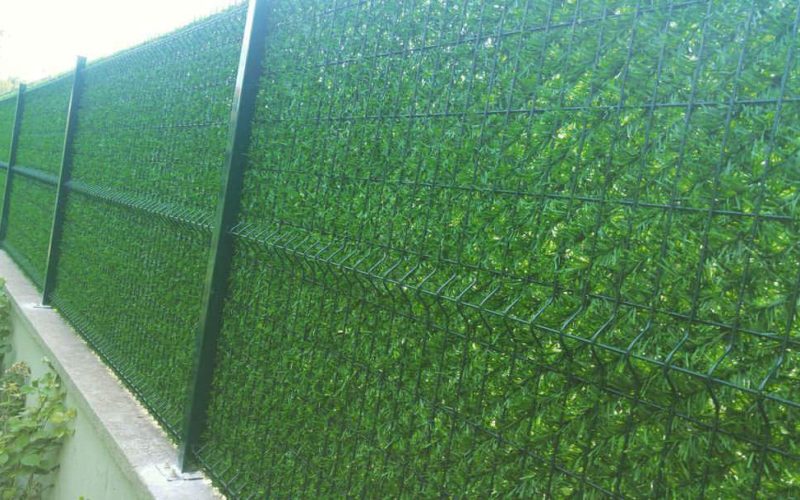 FB_IMG_1499143422558