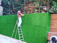 FB_IMG_1499143430592