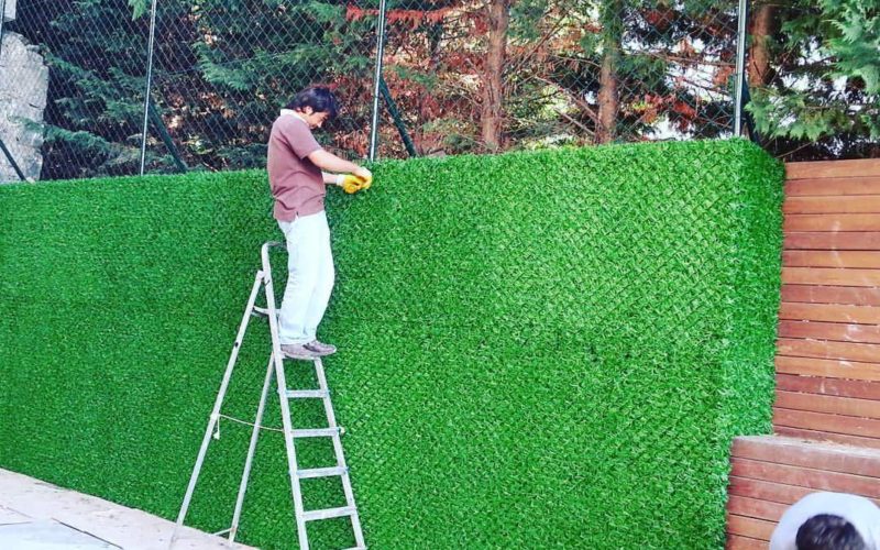 FB_IMG_1499143430592