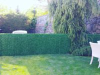 FB_IMG_1499143461767