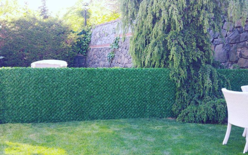 FB_IMG_1499143461767