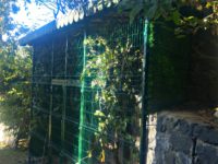 PicsArt_10-06-04.41.53