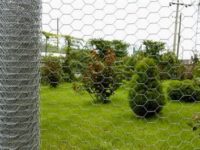 b_69638_cit-direkleri-cit-telleri-ve-duvarlar