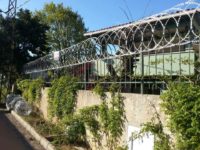 duzlemsel-jiletli-teller1