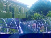 duzlemsel-jiletli-teller11