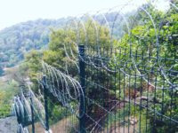 duzlemsel-jiletli-teller3