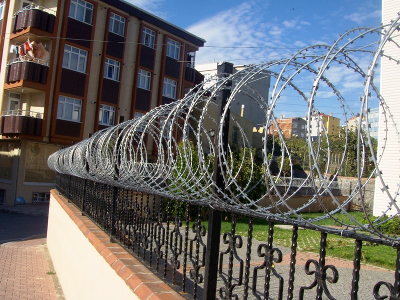 My beautiful picture